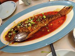 干烧大黄鱼-鸭匠食府·挂炉烤鸭·新京菜(阜成路店)