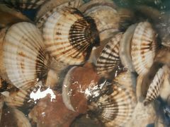 android_upload_pic-老虎滩大连海鲜烧烤(建邺云锦路总店)