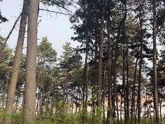 -萨尔浒风景区