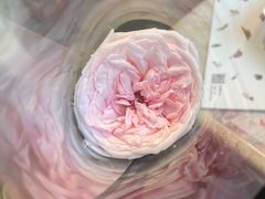 -ROIIN用心(武汉首店)