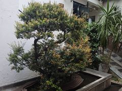 -怡得观滇餐厅·地道昆明菜·1996(海埂大坝店)