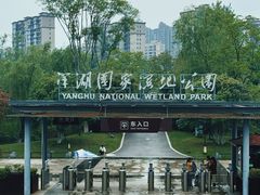 -洋湖国家湿地公园