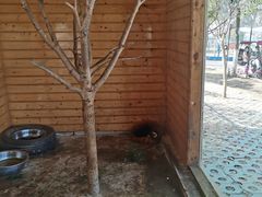 -武汉紫薇都市田园