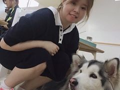 -李小姐の猫咖啡馆(五角场店)