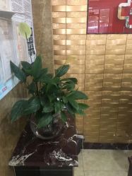 -悟空祛痘·诺奖技术专业店