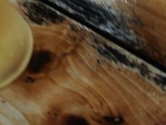 -蓝湾碧波·老字号·疍家非遗海上餐厅