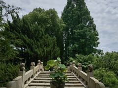 -上海醉白池公园