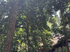 -凤栖山