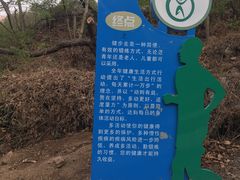 -大岭沟猕猴桃谷风景区