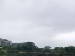 -福田红树林生态公园