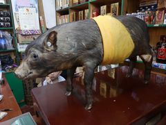 -香猪美食(中心店)