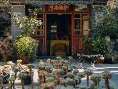 -寂照庵