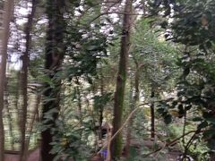 -老君山