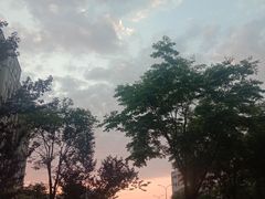 -杭州市第一人民医院(湖滨院区)