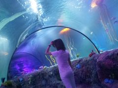 -沈阳海洋探索中心