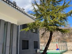 -凤凰小镇·徐州特色菜(凤凰岭店)