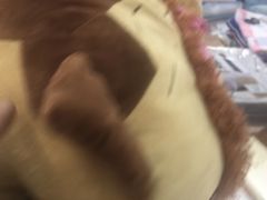 -夏日百货