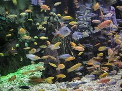 -太平洋海底世界