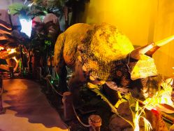 -恐龙探索乐园(磁器口店)