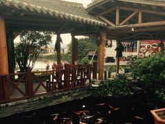 -顺德了能馆(虎门店)