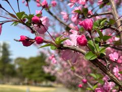 -白塘生态植物园