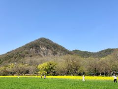 -八卦田遗址公园