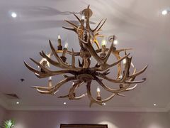 -鹿园 MOOSE(长宁店)