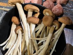 -探窝·竹笙椰子鸡(杨箕店)