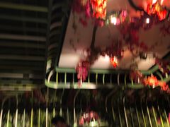 大堂-浩海火烧云傣家菜(京广店)
