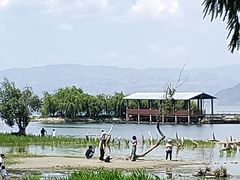 -才村湿地公园