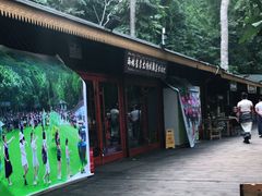 -西双版纳原始森林公园