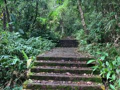 -海南热带雨林国家公园吊罗山景区