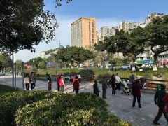 -神仙树公园