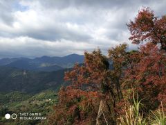 -广州市石门国家森林公园