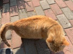 -Rabbit Cafe私房西餐甜点咖啡(栖霞路店)