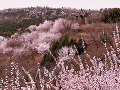 -北京西山国家森林公园