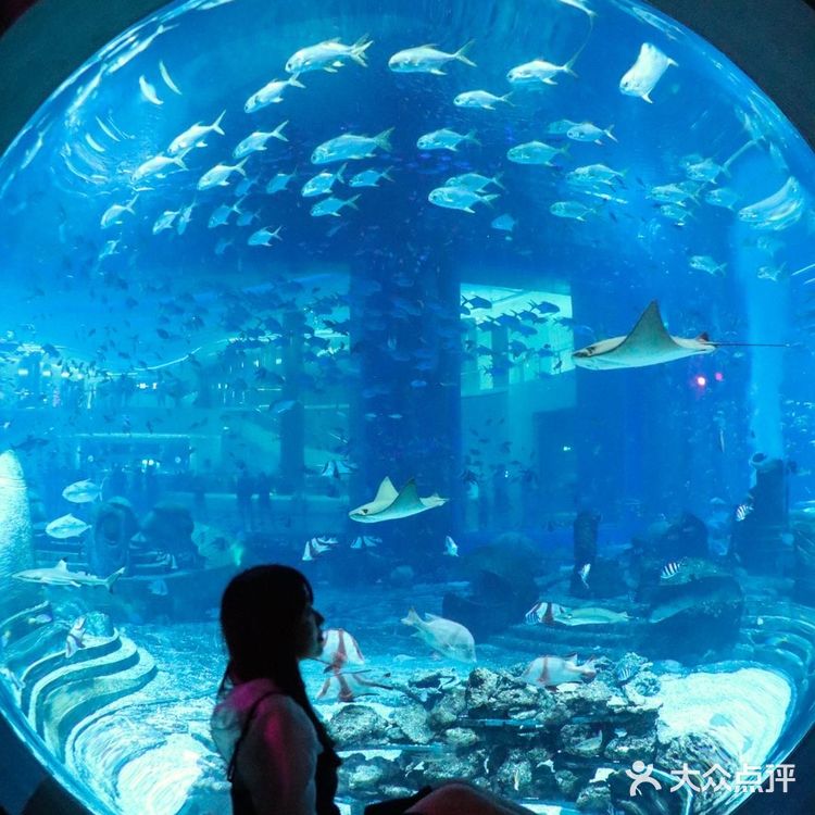 海南坠大型鬼屋｜沉浸式深海惊悚冒险‼️刺激