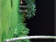 -野狸岛