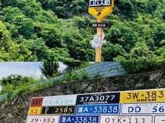 -洛阳白云山景区