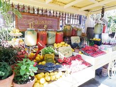 -The Grounds of Alexandria