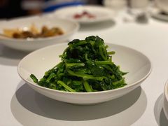 高山豆苗-南麓·浙里(外滩店)