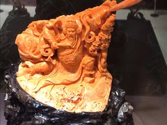 -东海珊瑚博物馆