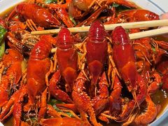 -杨氏青龙虾·羊蝎子(托乐嘉店)