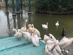 -南京汤山紫清湖生态旅游温泉度假区