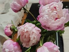 -上海市虹口区图书馆(曲阳分馆)