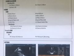 -爱侣宠医·鹦鹉专科·小型哺乳类·异宠专科(灵石路店)