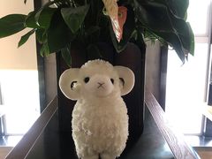 -九府羊·鲜羊火锅·烤串(新华路店)