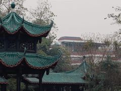 -桂湖森林公园