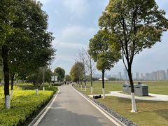 -洋湖国家湿地公园