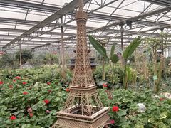 -南宫五洲植物乐园